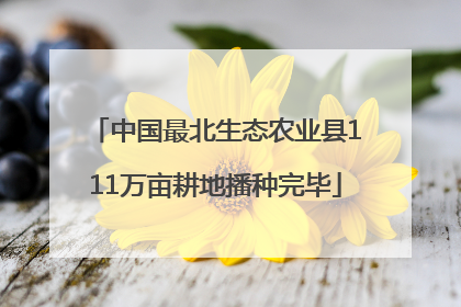 中国最北生态农业县111万亩耕地播种完毕