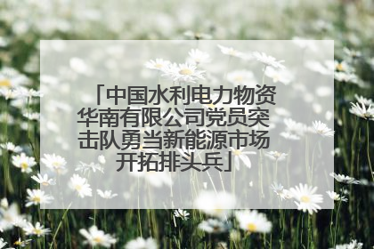 中国水利电力物资华南有限公司党员突击队勇当新能源市场开拓排头兵