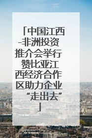 中国江西-非洲投资推介会举行 赞比亚江西经济合作区助力企业“走出去”