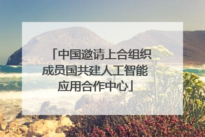中国邀请上合组织成员国共建人工智能应用合作中心