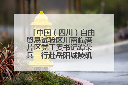 中国（四川）自由贸易试验区川南临港片区党工委书记谭荣兵一行赴岳阳城陵矶综保区考察