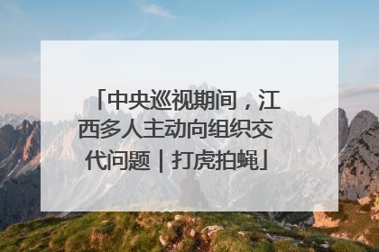 中央巡视期间，江西多人主动向组织交代问题｜打虎拍蝇