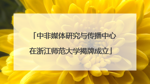 中非媒体研究与传播中心在浙江师范大学揭牌成立