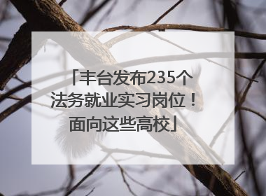 丰台发布235个法务就业实习岗位！面向这些高校