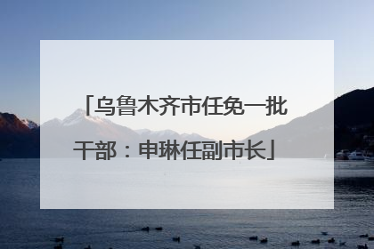 乌鲁木齐市任免一批干部：申琳任副市长