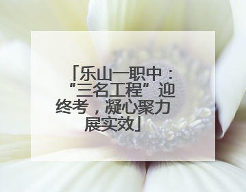 乐山一职中：“三名工程”迎终考，凝心聚力展实效