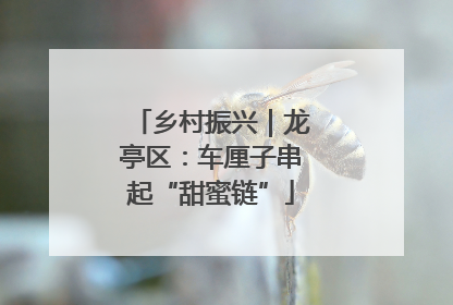 乡村振兴｜龙亭区：车厘子串起“甜蜜链”