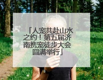 人宠共赴山水之约！第五届济南携宠徒步大会圆满举行