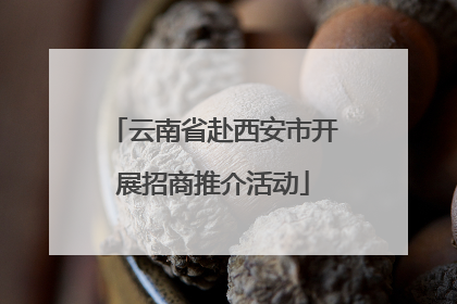 云南省赴西安市开展招商推介活动