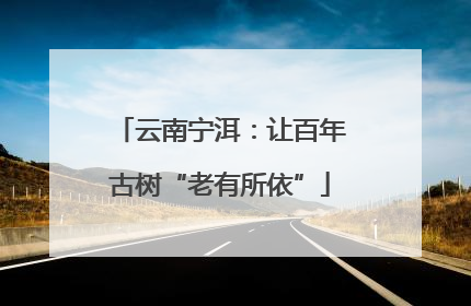 云南宁洱：让百年古树“老有所依”