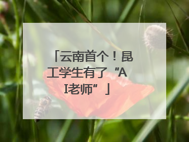 云南首个！昆工学生有了“AI老师”