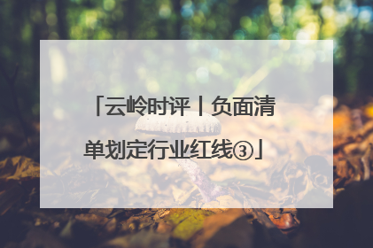 云岭时评丨负面清单划定行业红线③