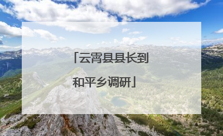 云霄县县长到和平乡调研