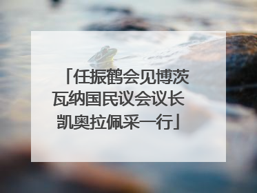 任振鹤会见博茨瓦纳国民议会议长凯奥拉佩采一行