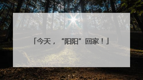 今天，“阳阳”回家！
