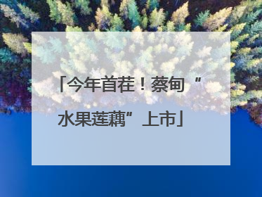今年首茬！蔡甸“水果莲藕”上市