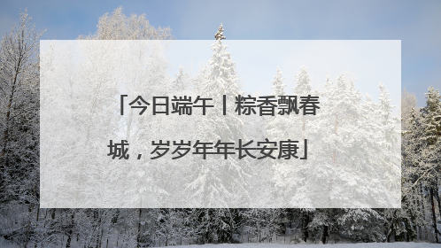 今日端午丨粽香飘春城，岁岁年年长安康
