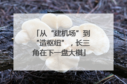 从“建机场”到“造枢纽”，长三角在下一盘大棋