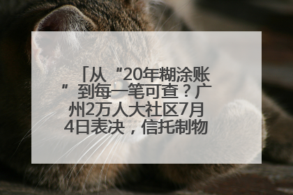 从“20年糊涂账”到每一笔可查？广州2万人大社区7月4日表决，信托制物业如何取“信”？