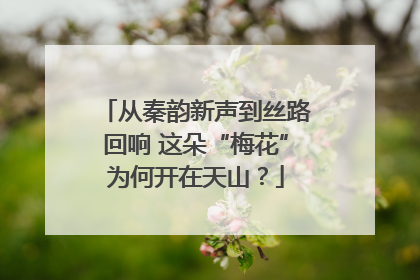 从秦韵新声到丝路回响 这朵“梅花”为何开在天山？