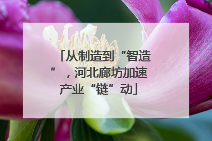 从制造到“智造”，河北廊坊加速产业“链”动