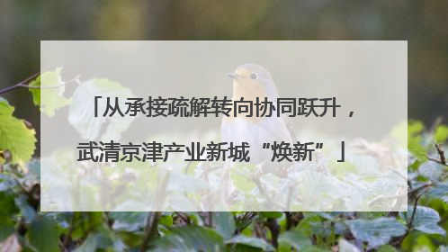 从承接疏解转向协同跃升，武清京津产业新城“焕新”