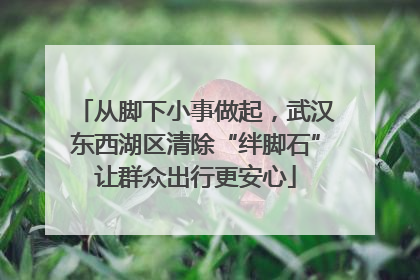 从脚下小事做起，武汉东西湖区清除“绊脚石”让群众出行更安心
