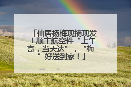 仙居杨梅现摘现发！顺丰航空件“上午寄，当天达”，“梅”好送到家！