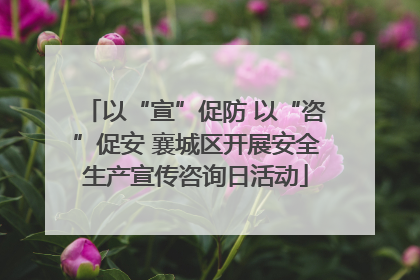以“宣”促防 以“咨”促安 襄城区开展安全生产宣传咨询日活动