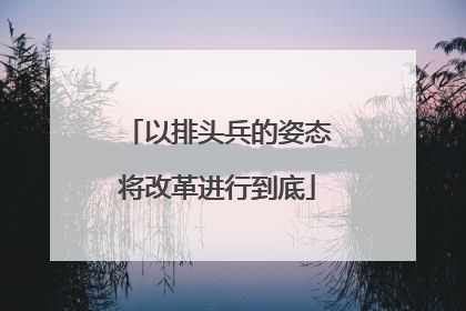 以排头兵的姿态将改革进行到底