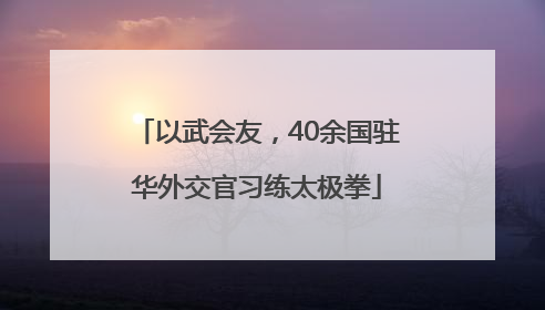 以武会友，40余国驻华外交官习练太极拳