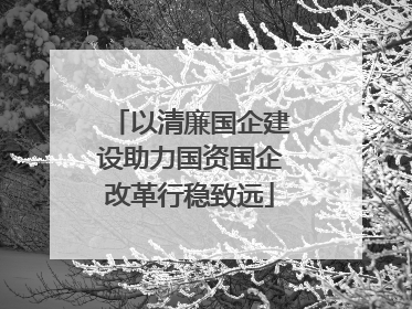 以清廉国企建设助力国资国企改革行稳致远