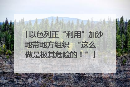 以色列正“利用”加沙地带地方组织  “这么做是极其危险的！”