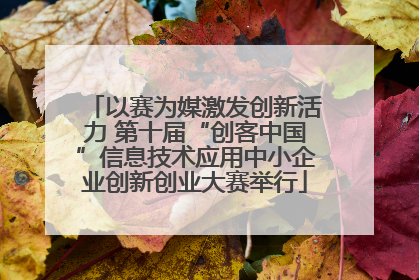 以赛为媒激发创新活力 第十届“创客中国”信息技术应用中小企业创新创业大赛举行