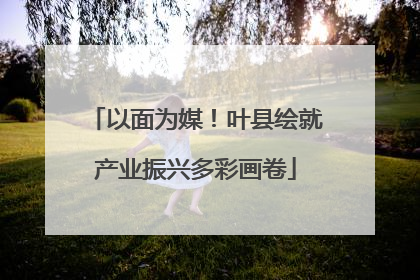以面为媒！叶县绘就产业振兴多彩画卷