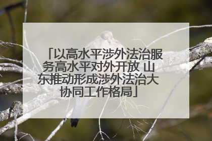以高水平涉外法治服务高水平对外开放 山东推动形成涉外法治大协同工作格局