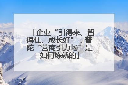 企业“引得来、留得住、成长好”，普陀“营商引力场”是如何炼就的