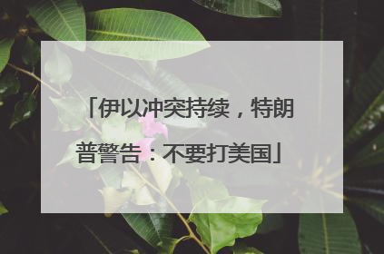 伊以冲突持续，特朗普警告：不要打美国