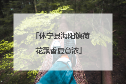 休宁县海阳镇荷花飘香夏意浓