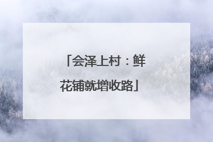 会泽上村：鲜花铺就增收路