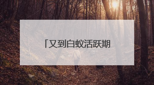又到白蚁活跃期 池州专业防治人员教你如何应对