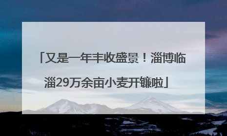 又是一年丰收盛景！淄博临淄29万余亩小麦开镰啦