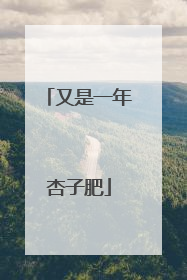 又是一年杏子肥