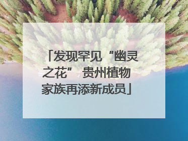 发现罕见“幽灵之花” 贵州植物家族再添新成员