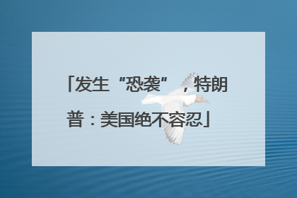 发生“恐袭”，特朗普：美国绝不容忍