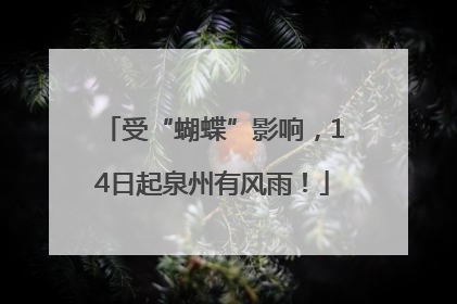 受“蝴蝶”影响，14日起泉州有风雨！