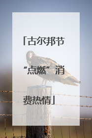 古尔邦节“点燃”消费热情