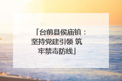 台前县侯庙镇：坚持党建引领 筑牢禁毒防线