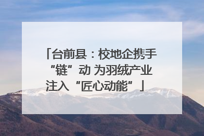 台前县：校地企携手“链”动 为羽绒产业注入“匠心动能”
