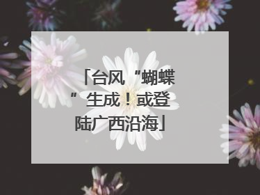 台风“蝴蝶”生成！或登陆广西沿海